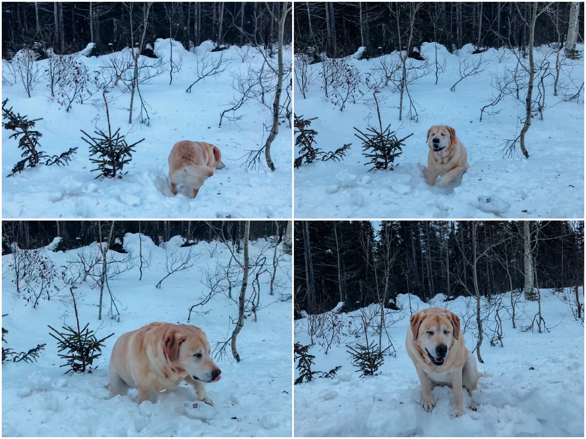 Be right back Ma I'm 'splorin...